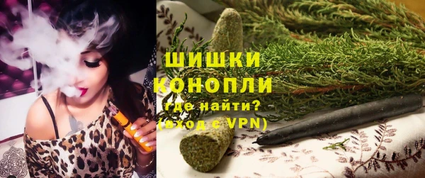 шишки Рославль