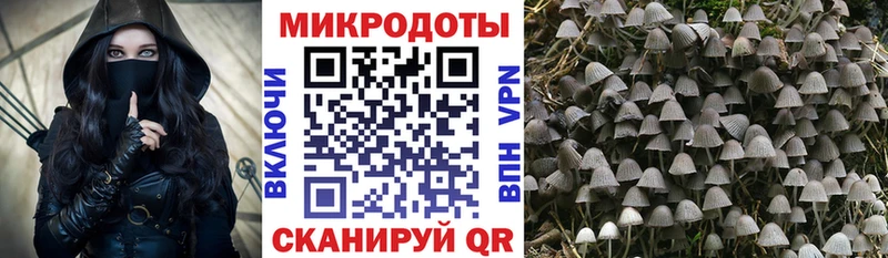 Галлюциногенные грибы GOLDEN TEACHER купить Отрадное